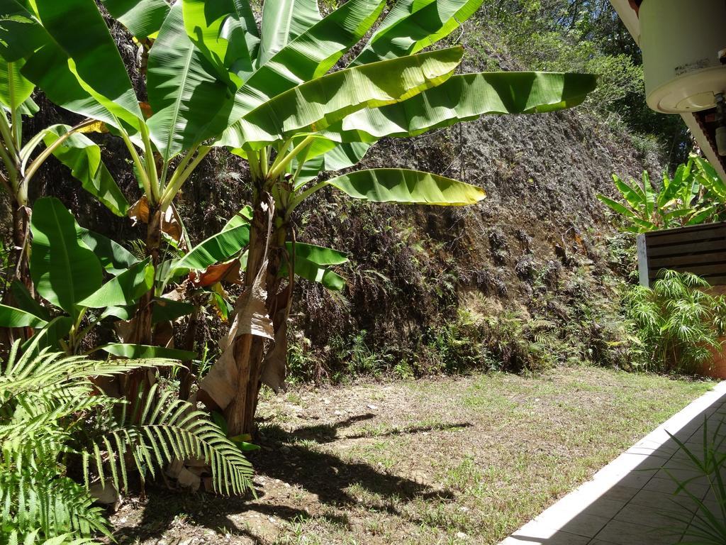 Gites Les 3 Collines Le Gosier  Exterior photo